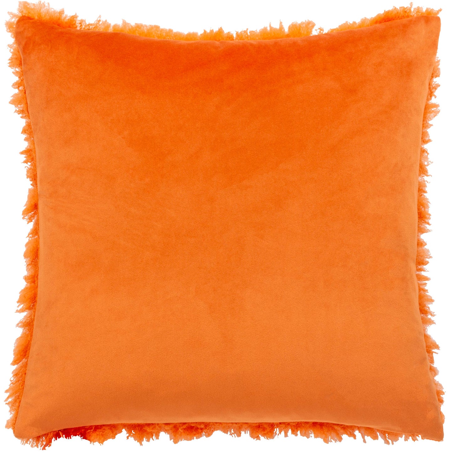 Orange Fever