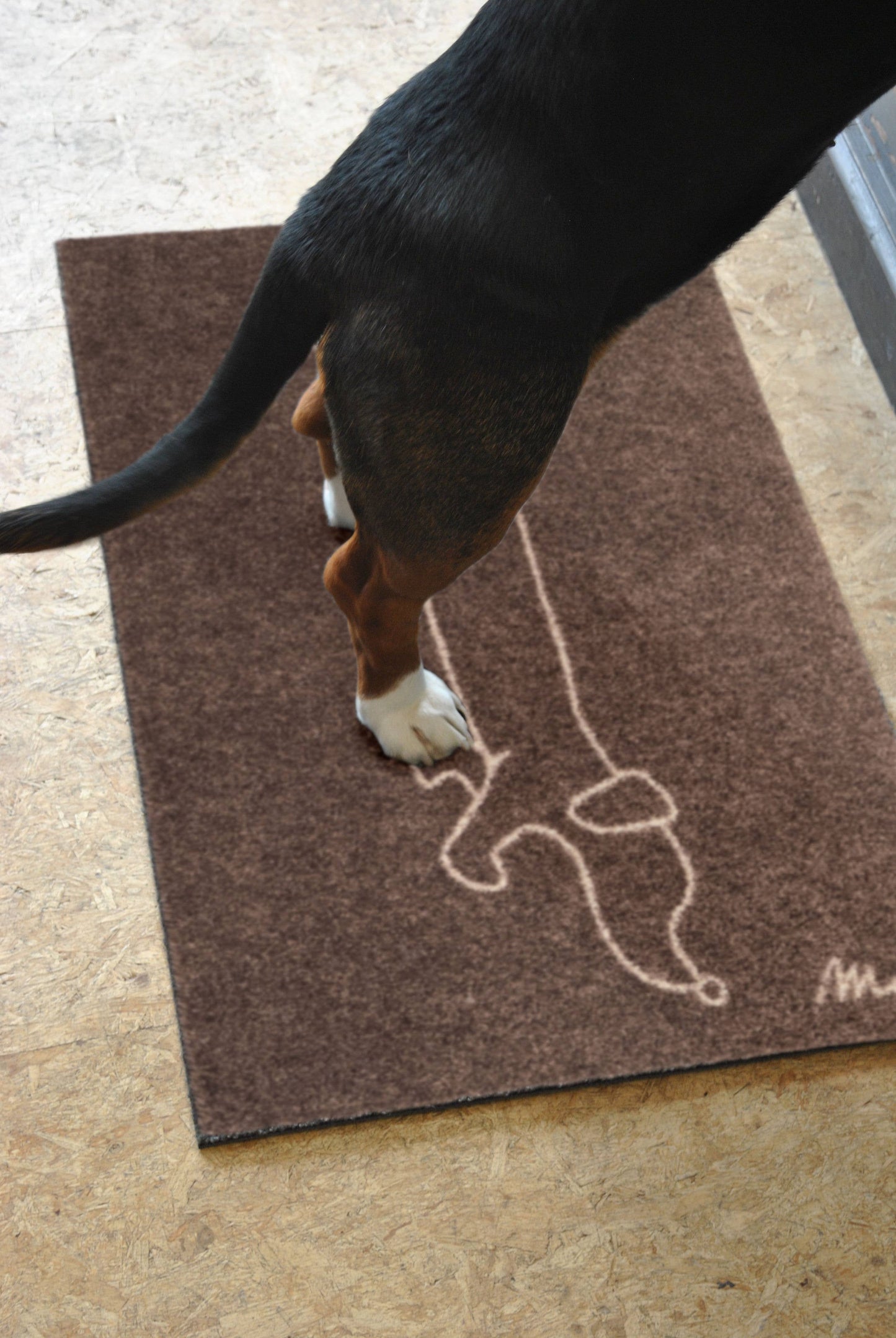 Sausage Dog