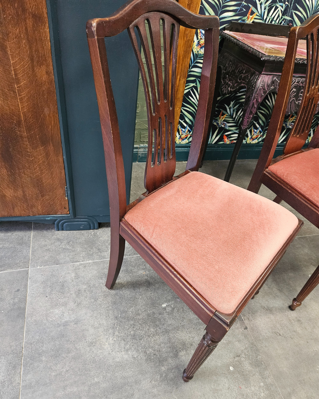 Edwardian Style Chairs (x6)