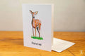 Deer