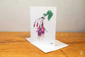 Fuchsia